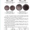 “Platinum coins” Andriy Boyko-Gagarin, Iryna Korpusova 54610